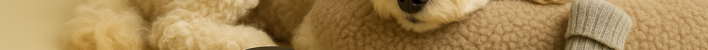 Why Self-Care Matters for Your Pet, Too