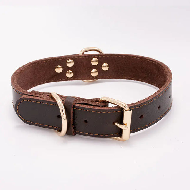 Premium Leather Dog Collar