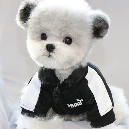 Dog Tracksuit