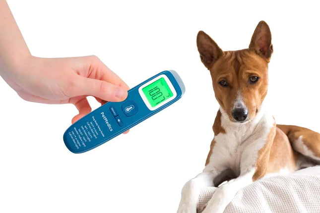 PetMedics Non-Contact Digital Dog Thermometer