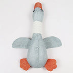Gray Wild Goose