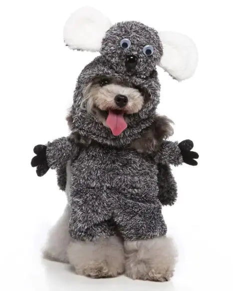 Modern Petwear Collection