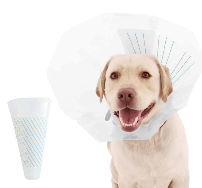 Adjustable Soft Recovery Cone for Dogs