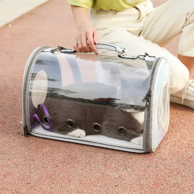 Transparent Travel Pet Carrier
