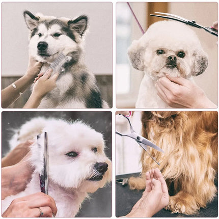 Pet Grooming Scissors Kit