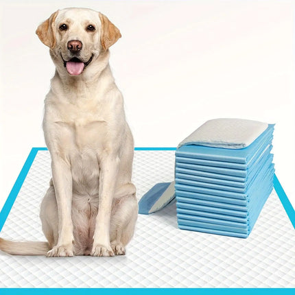 Disposable Puppy Training Pads (100-Pack)