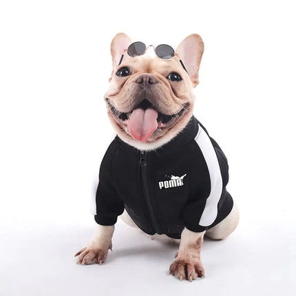 Dog Tracksuit