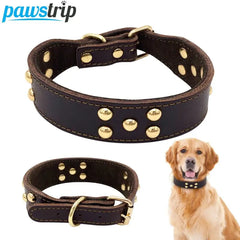 Collection image for: Pet Supplies