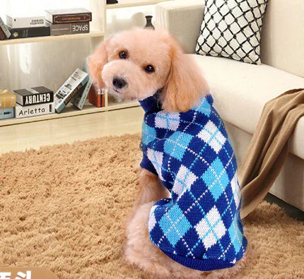Woolen Dog Sweater