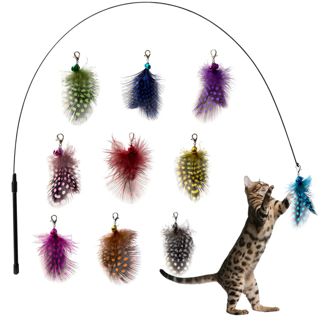 Cat Wand Feather Toy