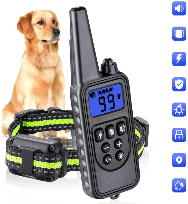 Electronic Dog Training Collar
