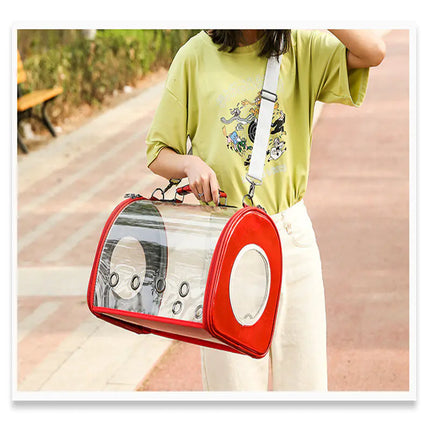 Transparent Travel Pet Carrier